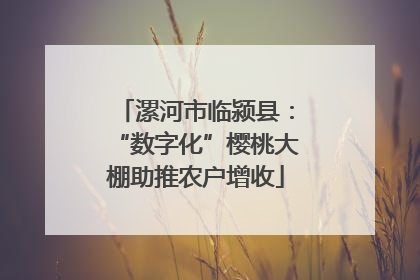 漯河市临颍县：“数字化”樱桃大棚助推农户增收