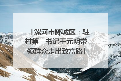 漯河市郾城区：驻村第一书记王元明带领群众走出致富路