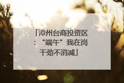 漳州台商投资区：“端午”我在岗 干劲不消减