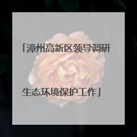 漳州高新区领导调研生态环境保护工作