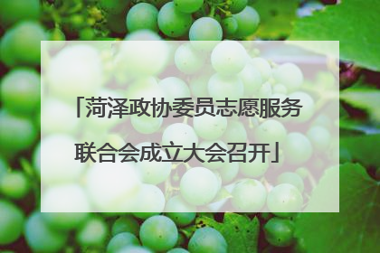 菏泽政协委员志愿服务联合会成立大会召开