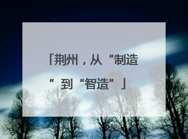 荆州，从“制造”到“智造”