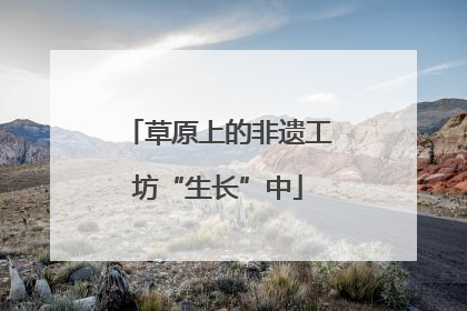 草原上的非遗工坊“生长”中