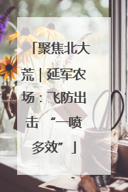 聚焦北大荒｜延军农场：飞防出击 “一喷多效”