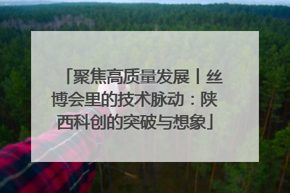 聚焦高质量发展丨丝博会里的技术脉动：陕西科创的突破与想象