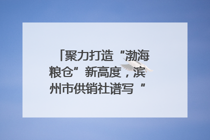 聚力打造“渤海粮仓”新高度，滨州市供销社谱写“三夏”丰收乐章