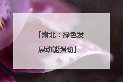 肃北：绿色发展动能强劲