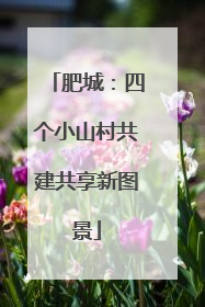 肥城：四个小山村共建共享新图景