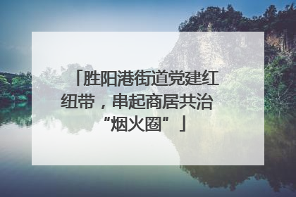 胜阳港街道党建红纽带，串起商居共治 “烟火圈”
