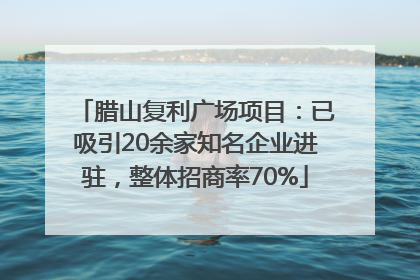 腊山复利广场项目：已吸引20余家知名企业进驻，整体招商率70%
