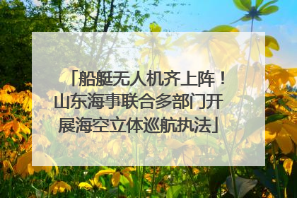 船艇无人机齐上阵！山东海事联合多部门开展海空立体巡航执法