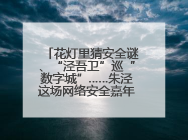 花灯里猜安全谜、“泾吾卫”巡“数字城”……朱泾这场网络安全嘉年华太会玩了