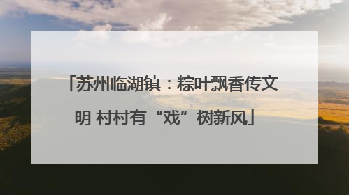 苏州临湖镇：粽叶飘香传文明 村村有“戏”树新风