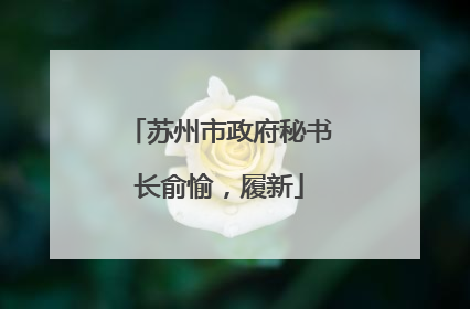 苏州市政府秘书长俞愉，履新