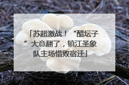 苏超激战！“醋坛子”大意翻了，镇江圣象队主场惜败宿迁