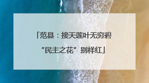 范县：接天莲叶无穷碧 “民主之花”别样红