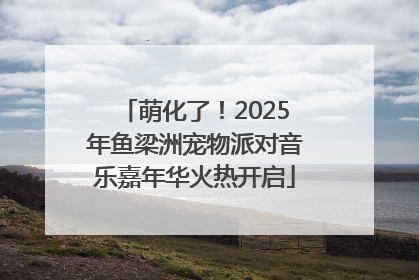 萌化了！2025年鱼梁洲宠物派对音乐嘉年华火热开启