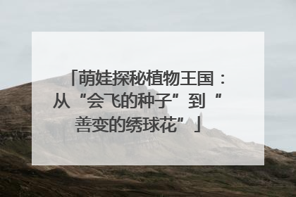 萌娃探秘植物王国：从“会飞的种子”到“善变的绣球花”