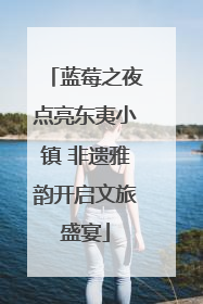 蓝莓之夜点亮东夷小镇 非遗雅韵开启文旅盛宴