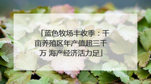 蓝色牧场丰收季：千亩养殖区年产值超三千万 海产经济活力足