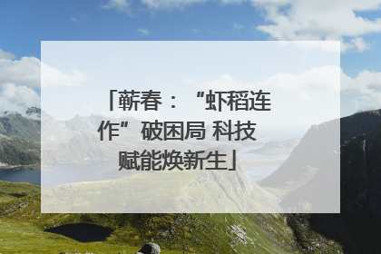 蕲春：“虾稻连作”破困局 科技赋能焕新生