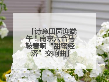 诗意田园迎端午！南京六合马鞍奏响“甜蜜经济”交响曲