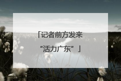 记者前方发来“活力广东”