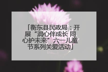 衡东县民政局：开展“润心伴成长 同心护未来”六一儿童节系列关爱活动