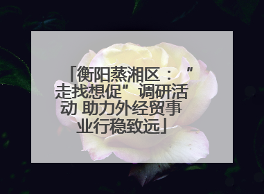 衡阳蒸湘区：“走找想促”调研活动 助力外经贸事业行稳致远
