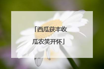 西瓜获丰收 瓜农笑开怀