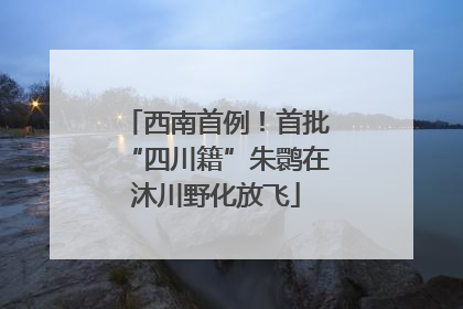 西南首例！首批“四川籍”朱鹮在沐川野化放飞