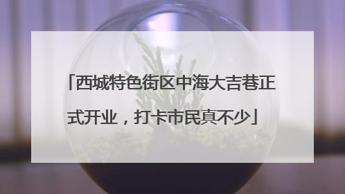 西城特色街区中海大吉巷正式开业，打卡市民真不少