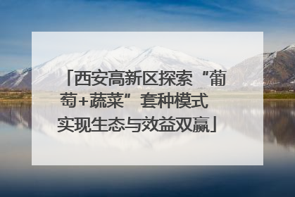 西安高新区探索“葡萄+蔬菜”套种模式 实现生态与效益双赢