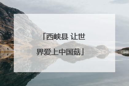 西峡县 让世界爱上中国菇