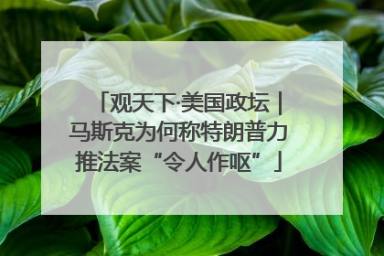观天下·美国政坛｜马斯克为何称特朗普力推法案“令人作呕”
