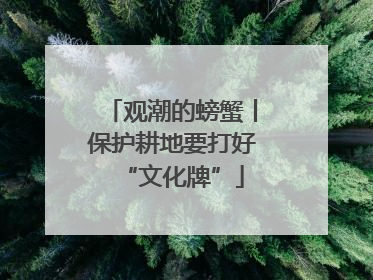观潮的螃蟹丨保护耕地要打好“文化牌”