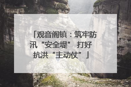 观音阁镇：筑牢防汛“安全堤” 打好抗洪“主动仗”