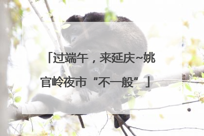 过端午，来延庆~姚官岭夜市“不一般”