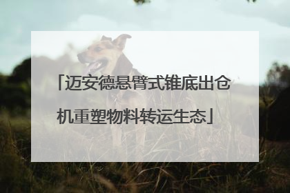 迈安德悬臂式锥底出仓机重塑物料转运生态