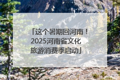 这个暑期回河南！2025河南省文化旅游消费季启动
