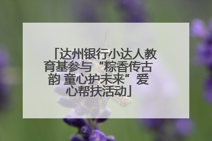 达州银行小达人教育基参与“粽香传古韵 童心护未来”爱心帮扶活动