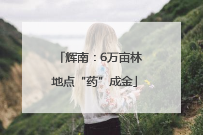 辉南：6万亩林地点“药”成金