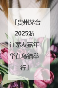 贵州茅台2025浙江茅友嘉年华在乌镇举行