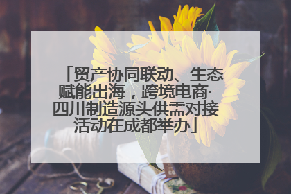 贸产协同联动、生态赋能出海，跨境电商·四川制造源头供需对接活动在成都举办