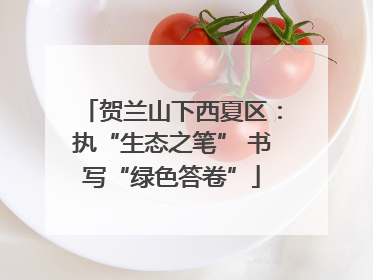 贺兰山下西夏区：执“生态之笔” 书写“绿色答卷”