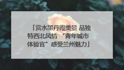 赏水墨丹霞美景 品独特西北风情 “青年城市体验官”感受兰州魅力