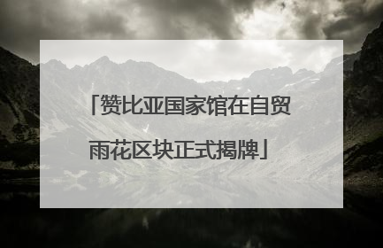 赞比亚国家馆在自贸雨花区块正式揭牌