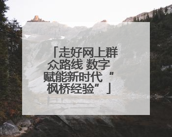 走好网上群众路线 数字赋能新时代“枫桥经验”