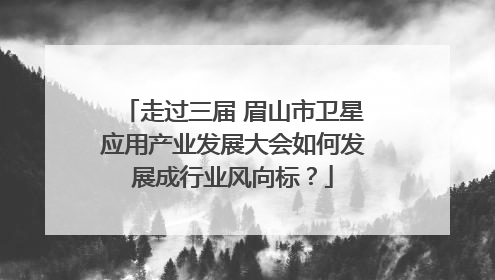 走过三届 眉山市卫星应用产业发展大会如何发展成行业风向标？