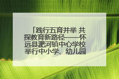 践行五育并举 共探教育新路径——怀远县淝河镇中心学校举行中小学、幼儿园班主任论坛活动